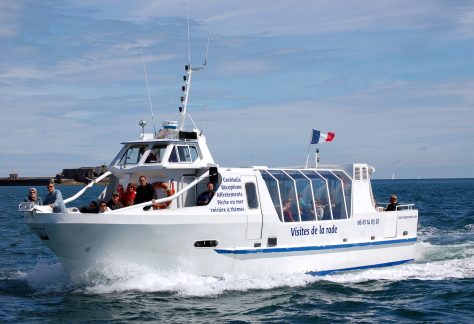 Adele-RADE-zoom-face