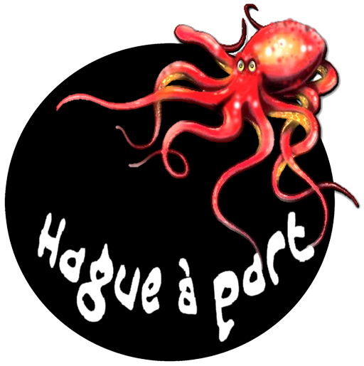 logo HAP excentre-coul
