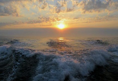 IMG_0732.jpg