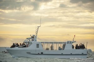 L'hermione-a╠Ç-Cherbourg-web-106
